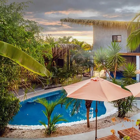 Casas Kismet