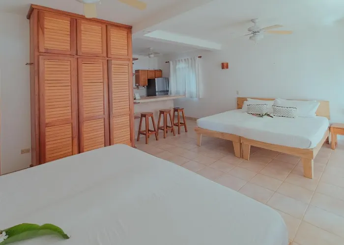 Casas Kismet